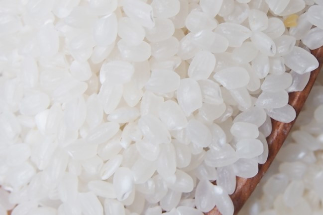 Japonica Rice