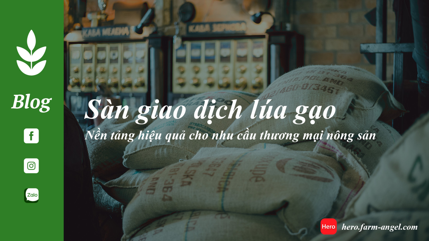 Sàn giao dịch lúa gạo: Nền tảng hiệu quả cho nhu cầu thương mại nông sản